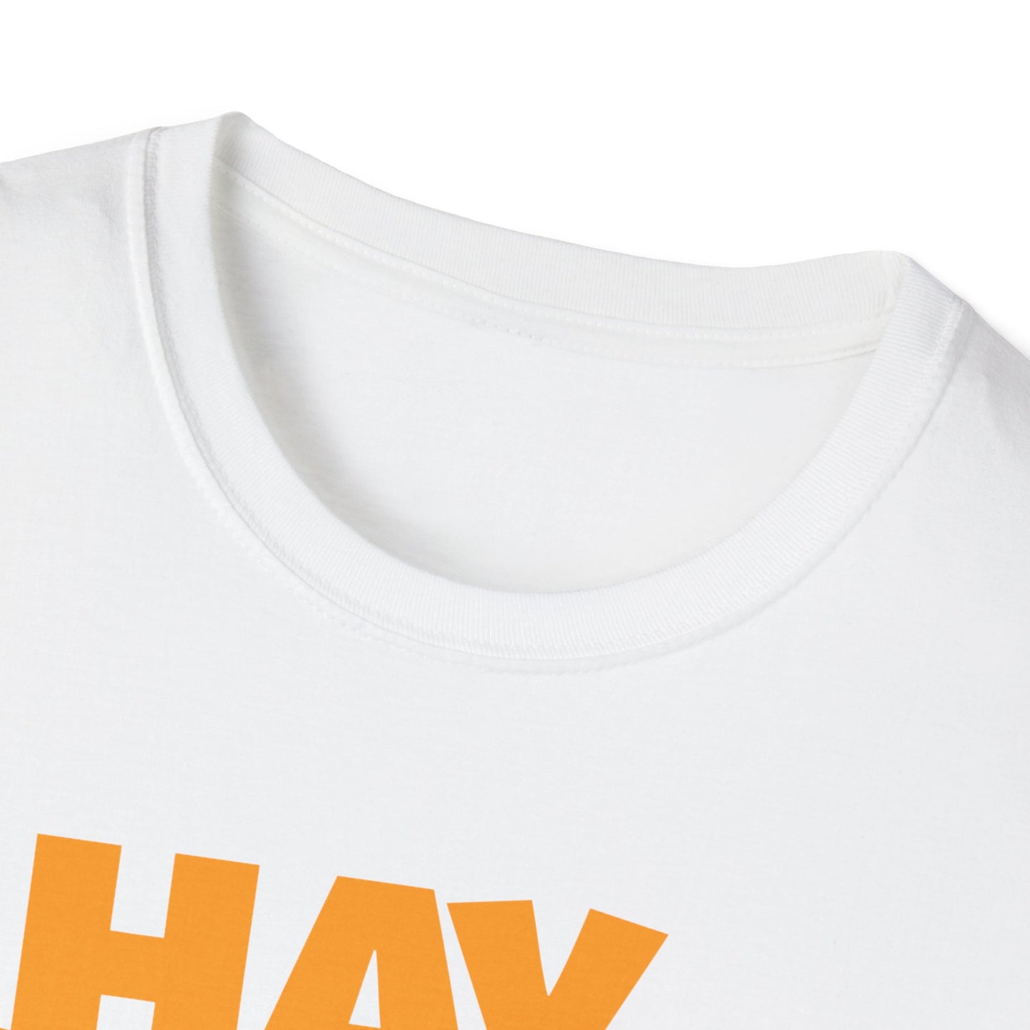 Needle In A Hay Stack T-Shirt
